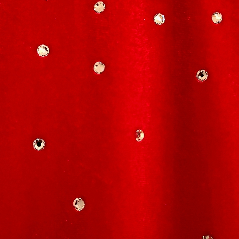 Beautiful Performance Dress - Picture 5 of 10